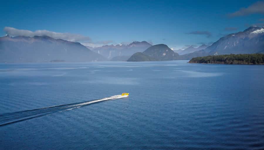 Fiordland: Jet Boat & Nature Walk Experience from Te Anau - The 15-minute forest walk is short but worthwhile