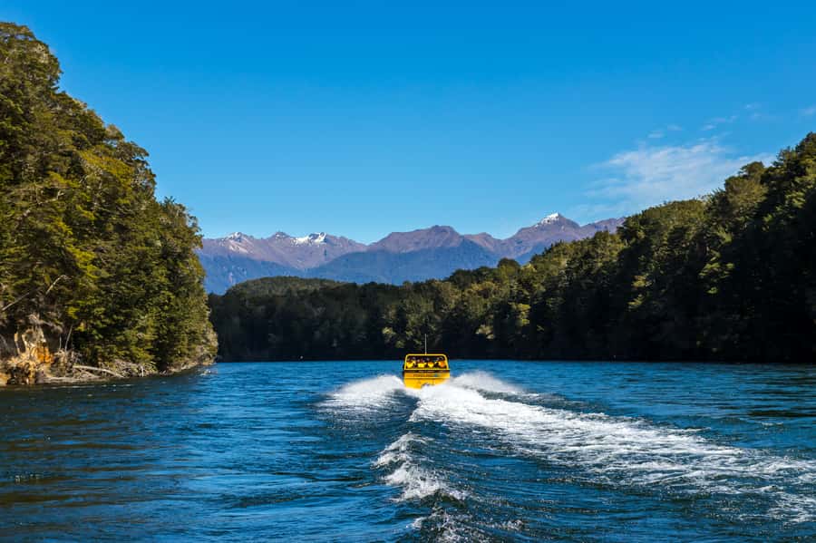 Fiordland: Jet Boat & Nature Walk Experience from Te Anau - What $116 buys you