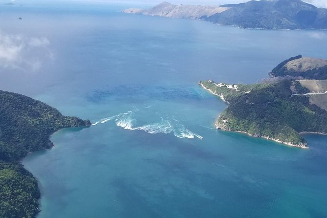 Flight Experience our Water and Wilderness Scenic Tour - Seeing the Marlborough Sounds from above
