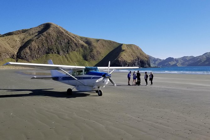 Flight Experience our Water and Wilderness Scenic Tour - Landing beside a remote beach