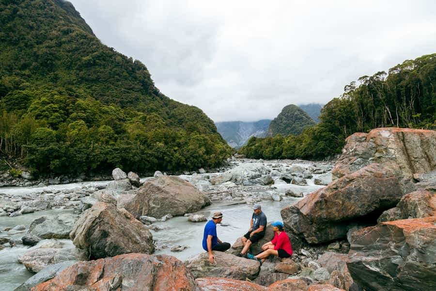 Fox Glacier: Half Day Walking & Nature Tour with Local Guide - Key points to know before you book