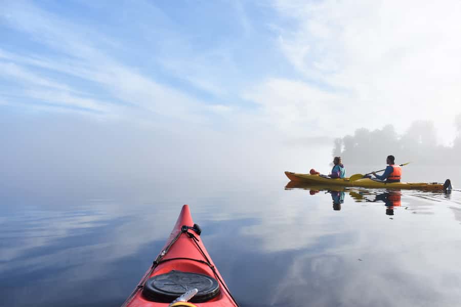 Franz Josef: 3-Hour Kayak Tour on Lake Mapourika - Key points at a glance