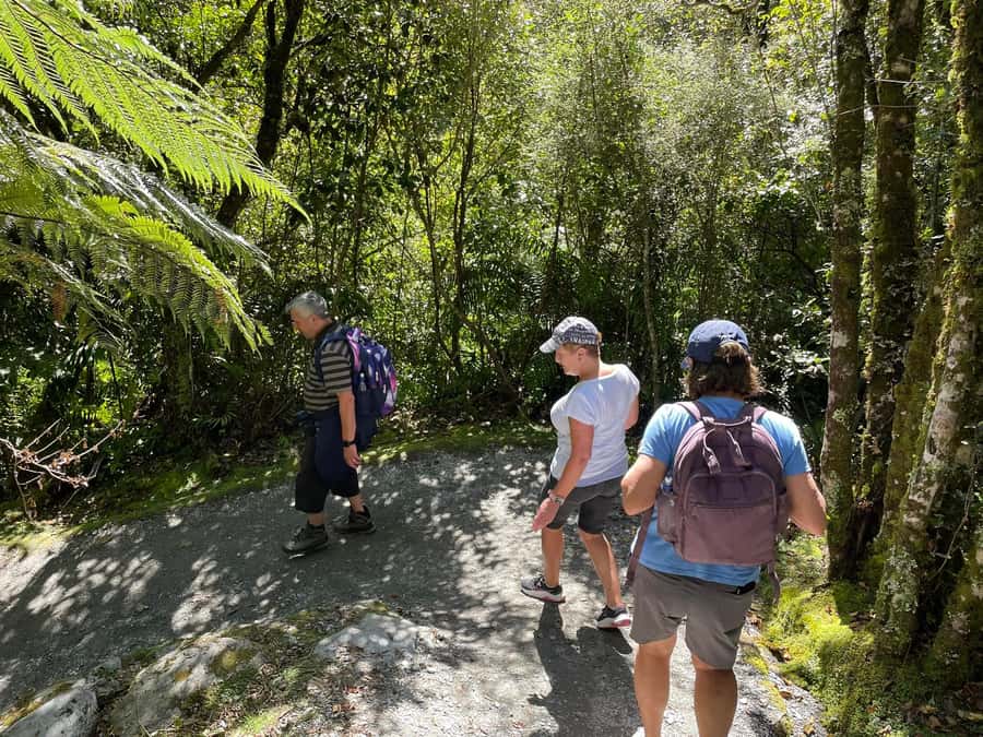 Franz Josef: Franz Josef Glacier Lookout Guided Walk - Wet weather is part of the deal