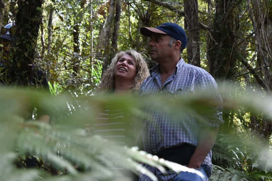 Franz Josef Glacier: 2.5-Hour Lake Mapourika Cruise and Walk - Why Lake Mapourika makes a good Franz Josef change of pace