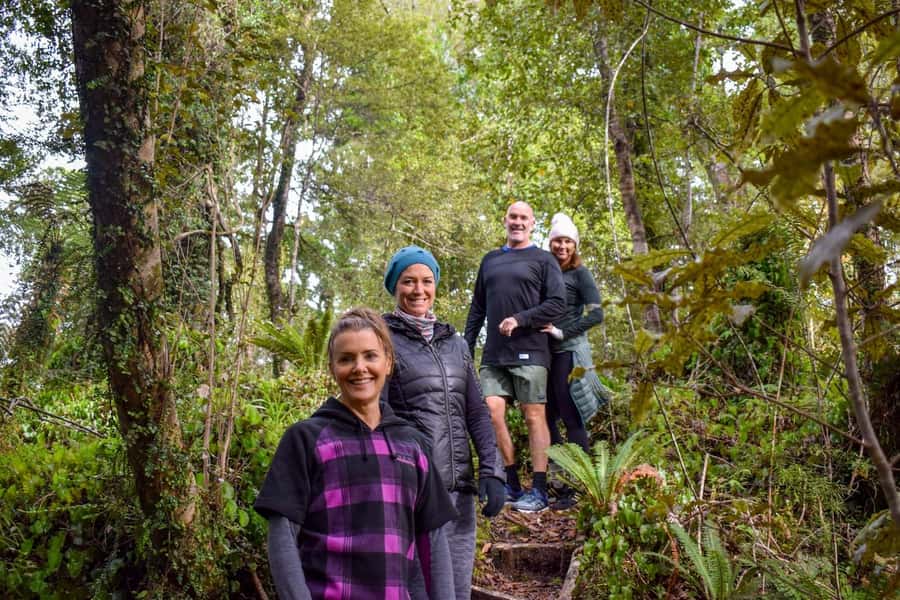 Franz Josef Glacier: 2.5-Hour Lake Mapourika Cruise and Walk - Entering the Okarito Kiwi Sanctuary