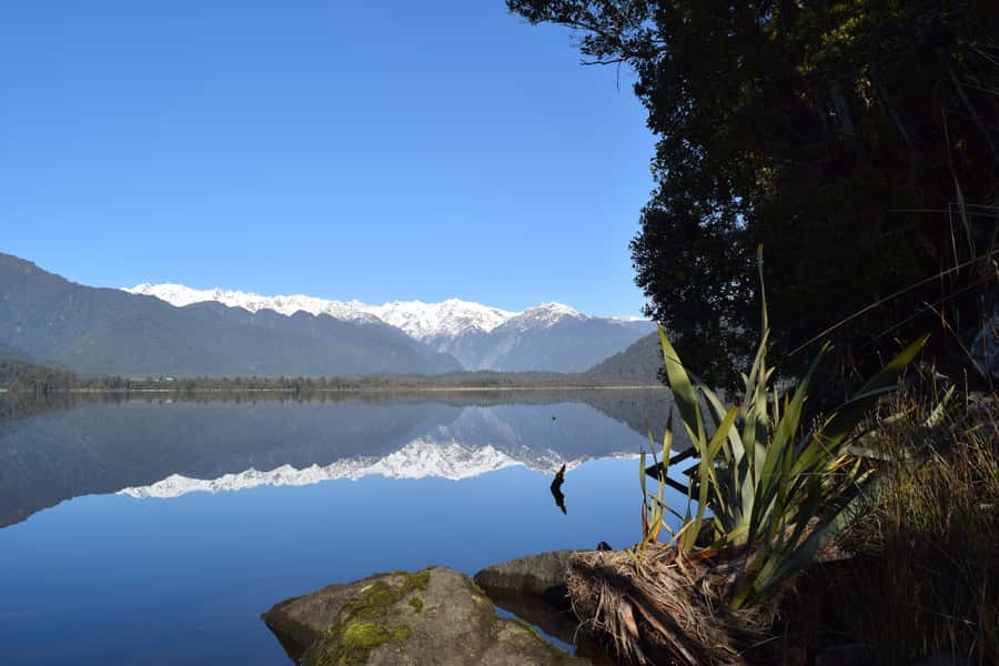 Franz Josef Glacier: 2.5-Hour Lake Mapourika Cruise and Walk - Tea and coffee at the forest lookout