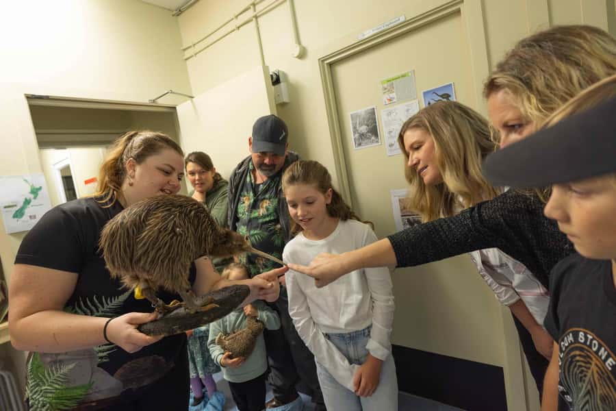 Franz Josef: Kiwi VIP Backstage Pass Tour -Booking Essential - Why the conservation story adds value