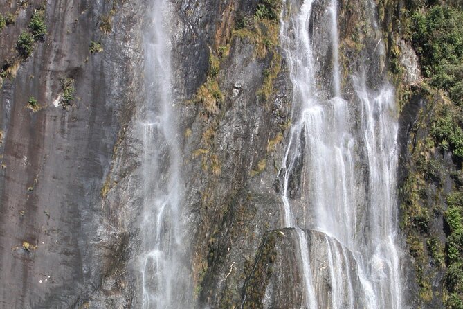 Franz Josef Nature Tour - How Hard Is the Walk?