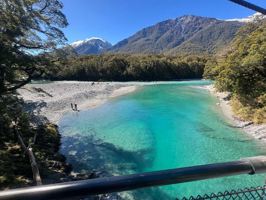 Franz Josef to Queenstown small group tour (One-Way) - Wanaka and the famous tree