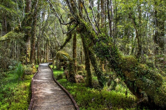 Franz Josef to Queenstown Small Group Tour via Wanaka 1 -Way - Cardrona Hotel and the final run to Queenstown