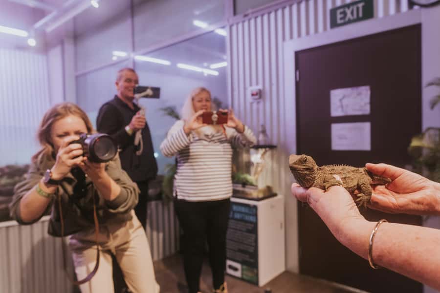 Franz Josef: West Coast Wildlife Centre Entry Ticket -48 hrs - Why this wildlife stop matters in Franz Josef