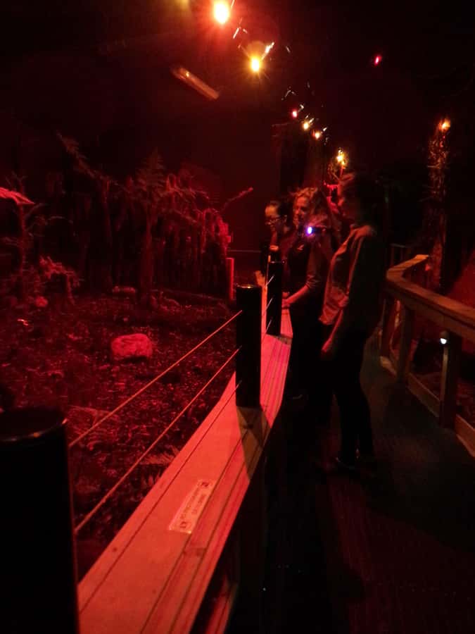 Franz Josef: West Coast Wildlife Centre Entry Ticket -48 hrs - What the $38 ticket is worth