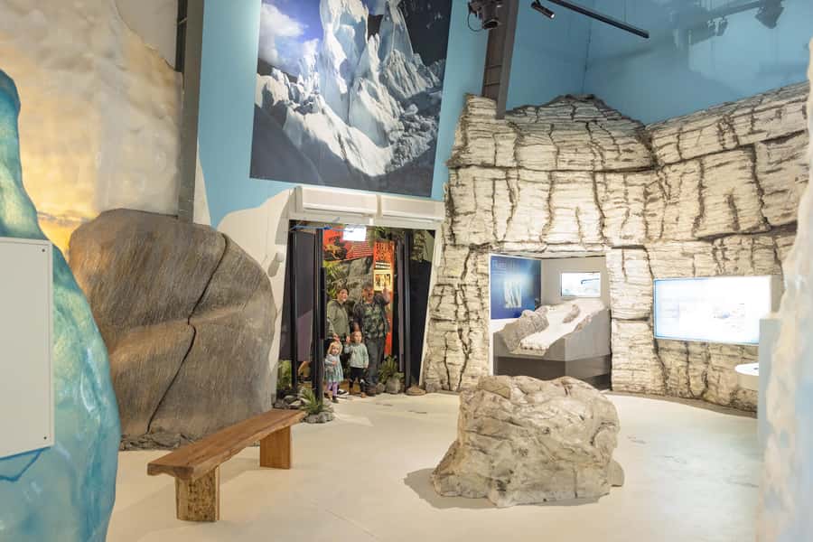 Franz Josef: West Coast Wildlife Centre Entry Ticket -48 hrs - A good rainy-day plan near the glacier