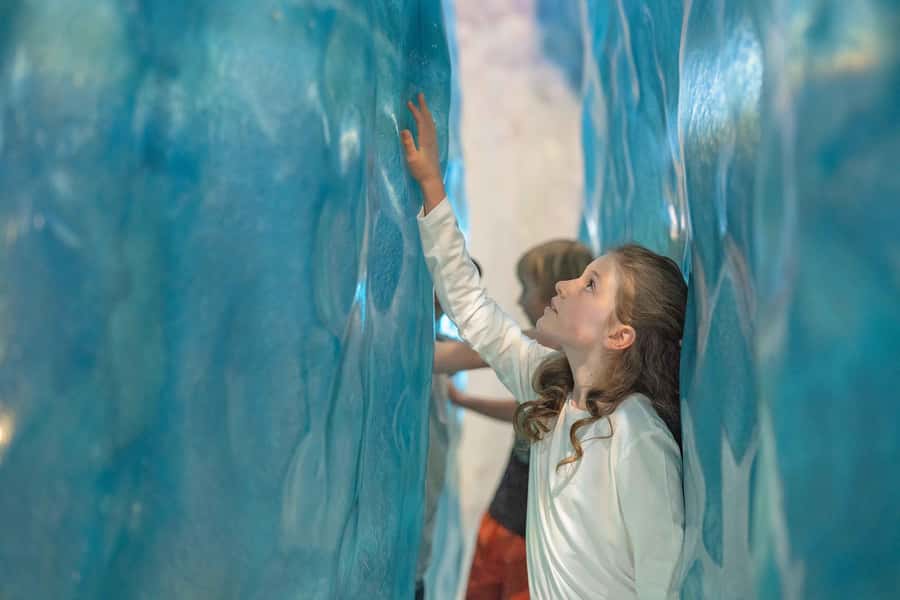 Franz Josef: West Coast Wildlife Centre Entry Ticket -48 hrs - Practical details before entering