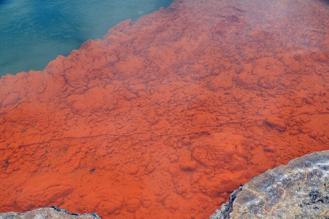 From Auckand: Waiotapu and Polynesian Spa Rotorua Day Tour - Why this Auckland to Rotorua day trip works