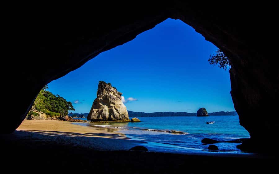From Auckland: Cathedral Cove & Hot Water Beach Tour - Key points to know before booking