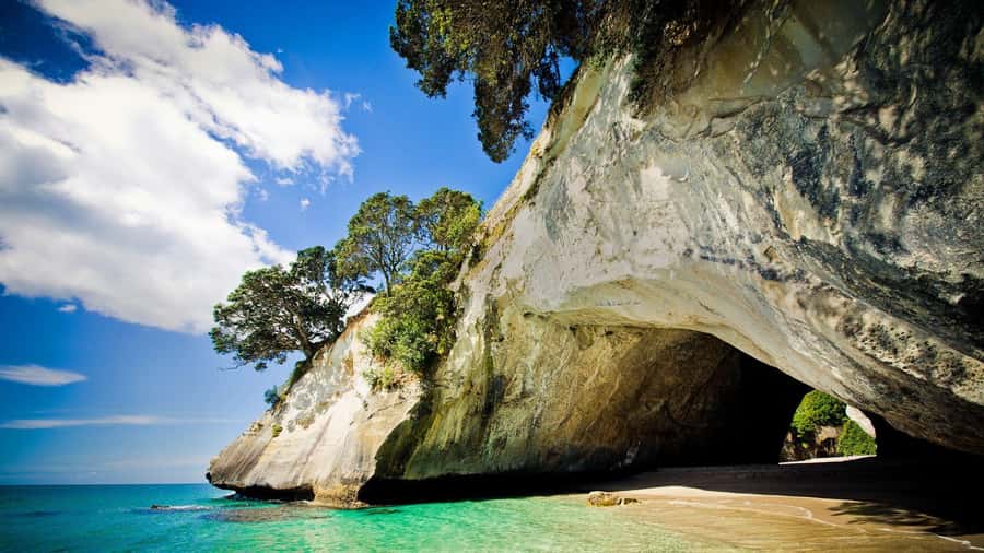 From Auckland: Cathedral Cove & Hot Water Beach Tour - Why this Coromandel day trip earns a place on your Auckland plans