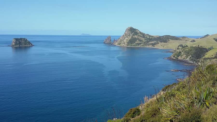 From Auckland: Cathedral Cove & Hot Water Beach Tour - Guide quality and the small-group setting