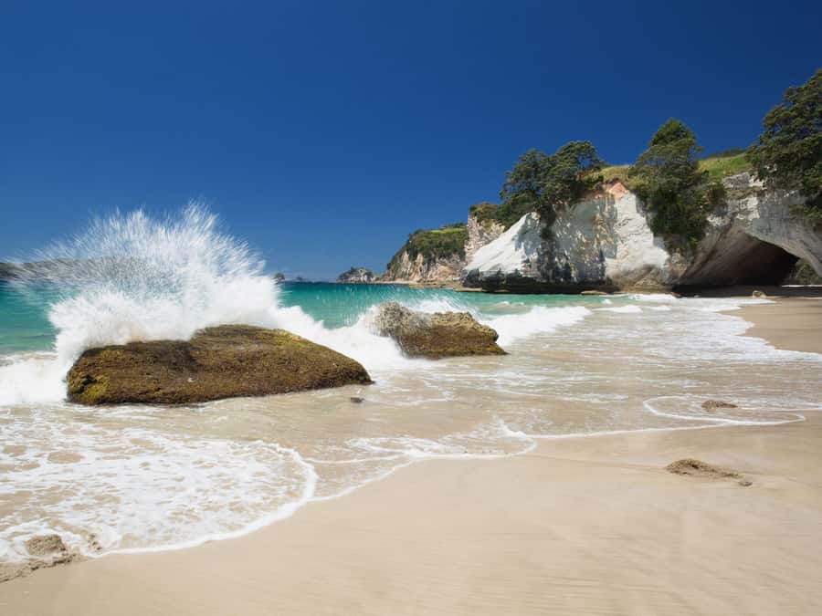 From Auckland: Cathedral Cove & Hot Water Beach Tour - The road from Auckland to the Coromandel