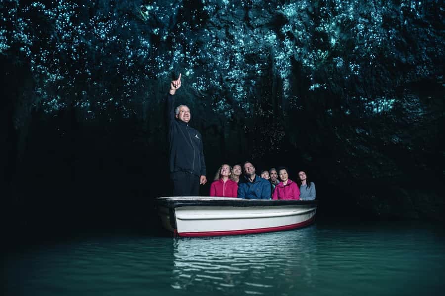 From Auckland: Day Trip to Waitomo Glow Worm Caves - A long but worthwhile road day from Auckland