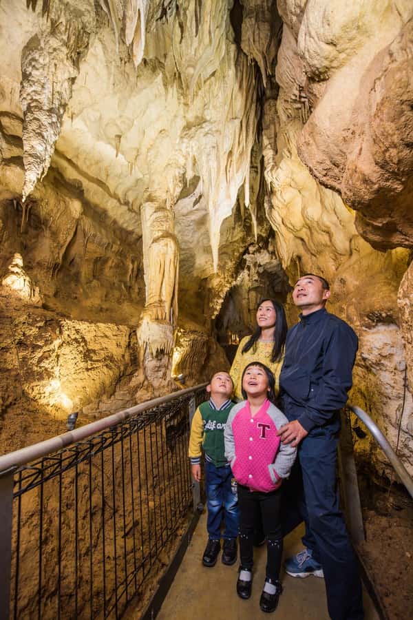 From Auckland: Day Trip to Waitomo Glow Worm Caves - Who will enjoy this Auckland day trip most