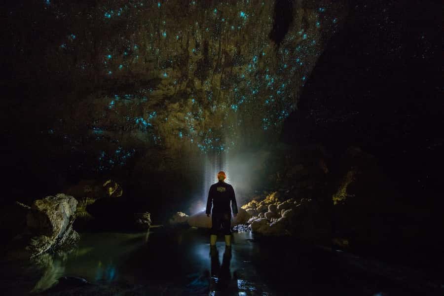 From Auckland: Day Trip to Waitomo Glow Worm Caves - Practical details that make the day easier