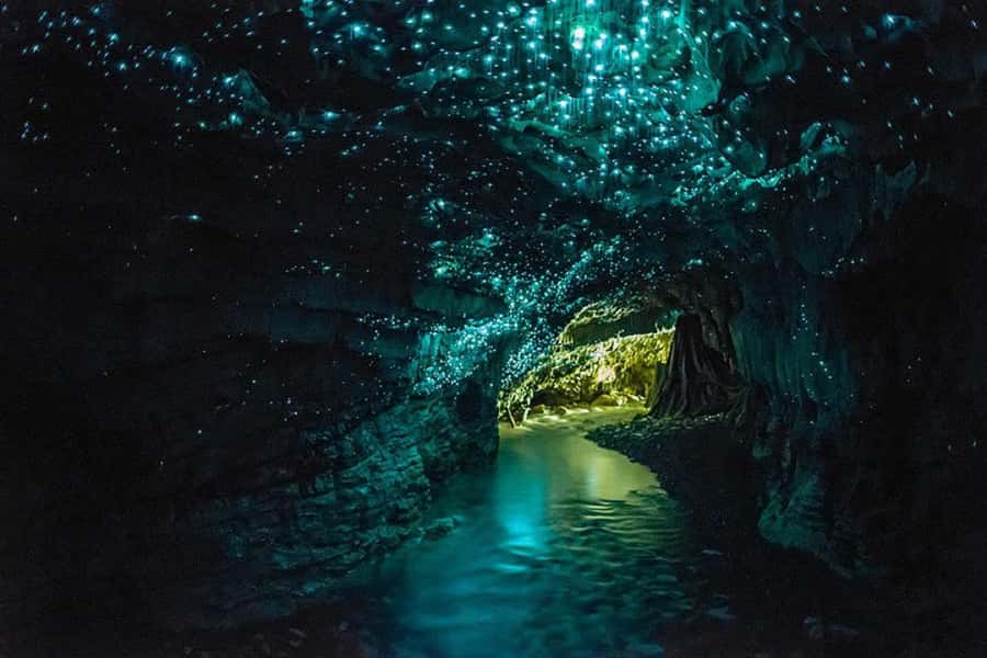 From Auckland: Day Trip to Waitomo Glow Worm Caves - The Waitomo stop gives you time to reset
