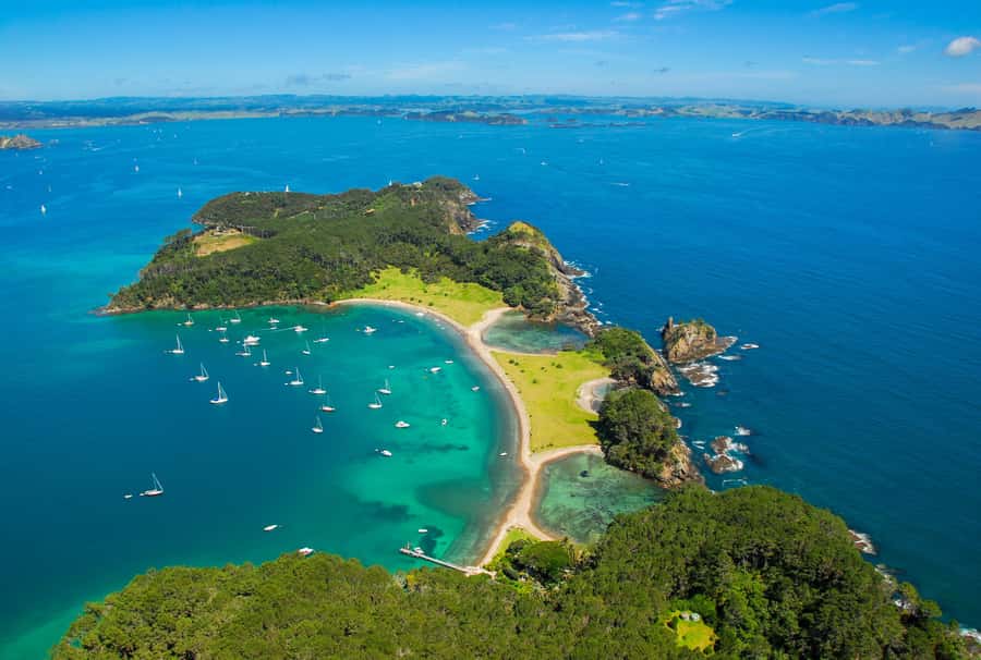 From Auckland: Full-Day Tour to the Bay of Islands - Key points to know before booking