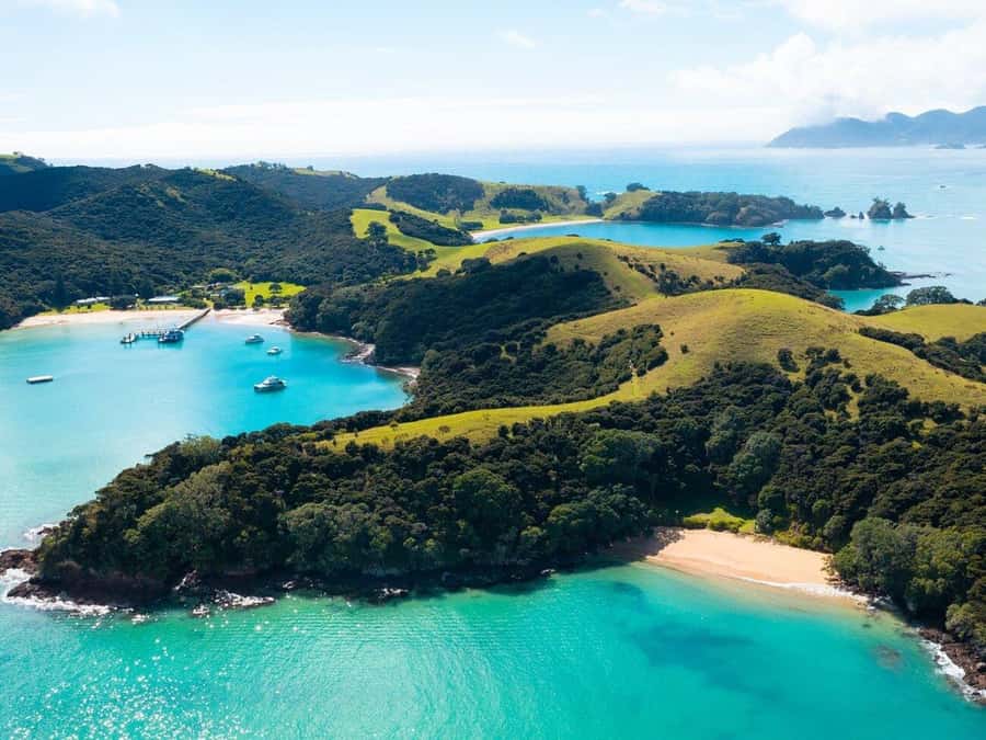 From Auckland: Full-Day Tour to the Bay of Islands - Lunch is the one part you should prepare for
