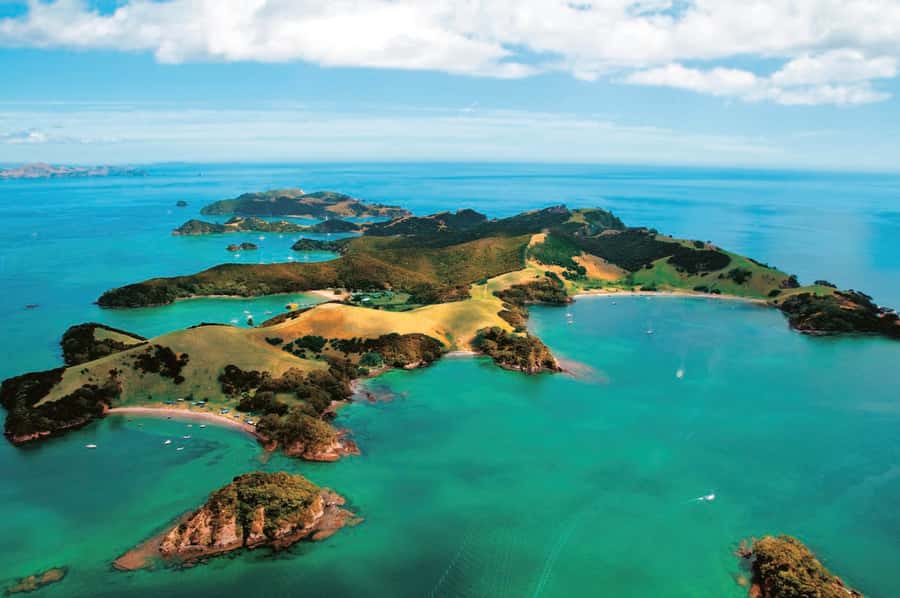 From Auckland: Full-Day Tour to the Bay of Islands - The return to Auckland
