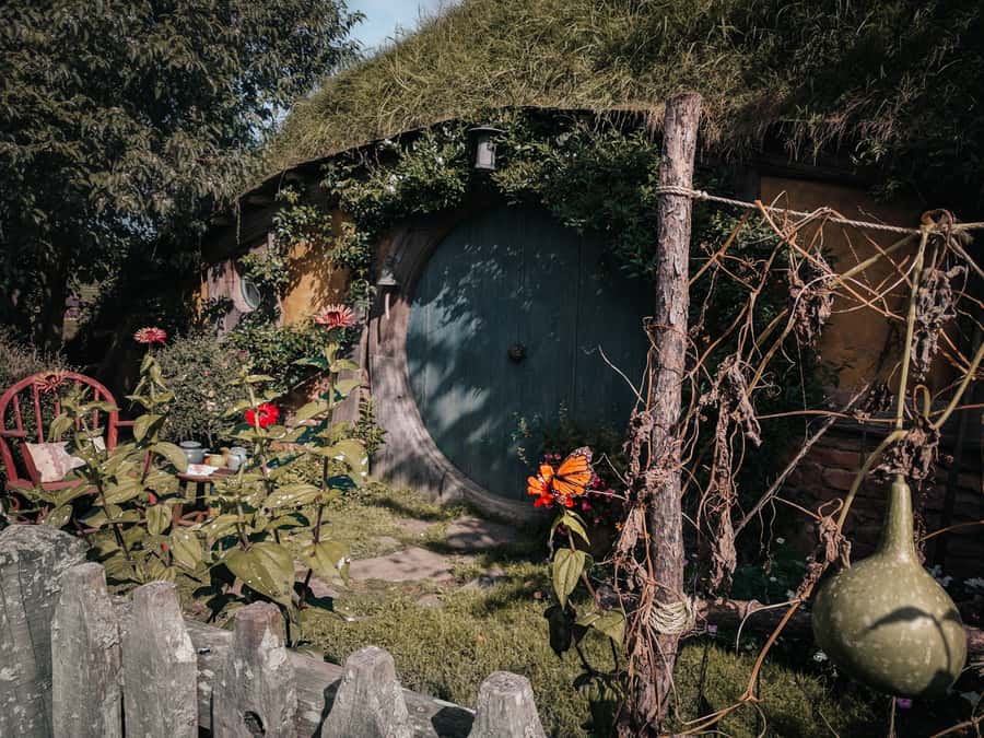 From Auckland: Hobbiton Afternoon Tour - Why the 11am start changes the whole day