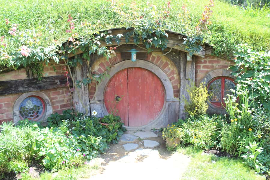 From Auckland: Hobbiton Afternoon Tour - Why the minibus matters on an eight-hour day