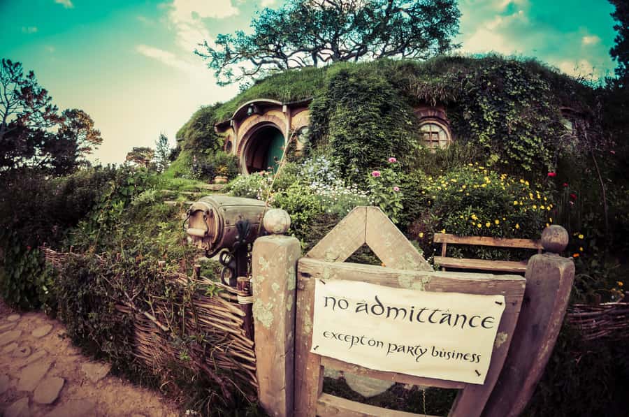 From Auckland: Hobbiton Afternoon Tour - The road south through Waikato