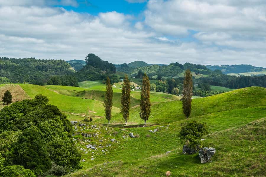 From Auckland: Hobbiton and Waitomo Day Tour with Lunch - A long North Island day that makes sense