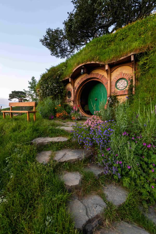 From Auckland: Hobbiton Movie Set and Waitomo Caves Tour - Who should book this day trip?