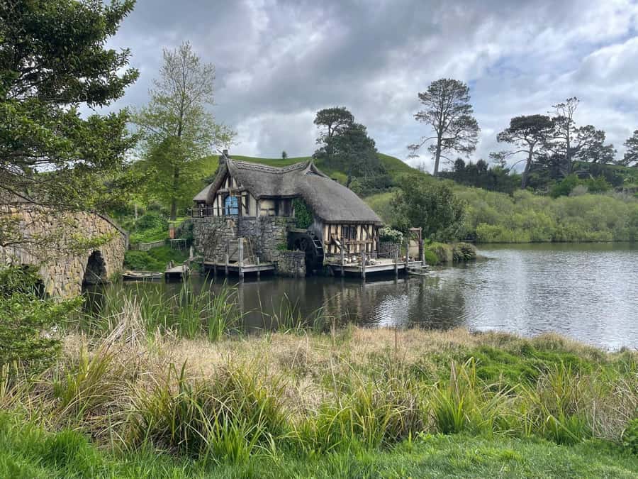 From Auckland: Hobbiton Movie Set and Waitomo Caves Tour - Is $234 good value?