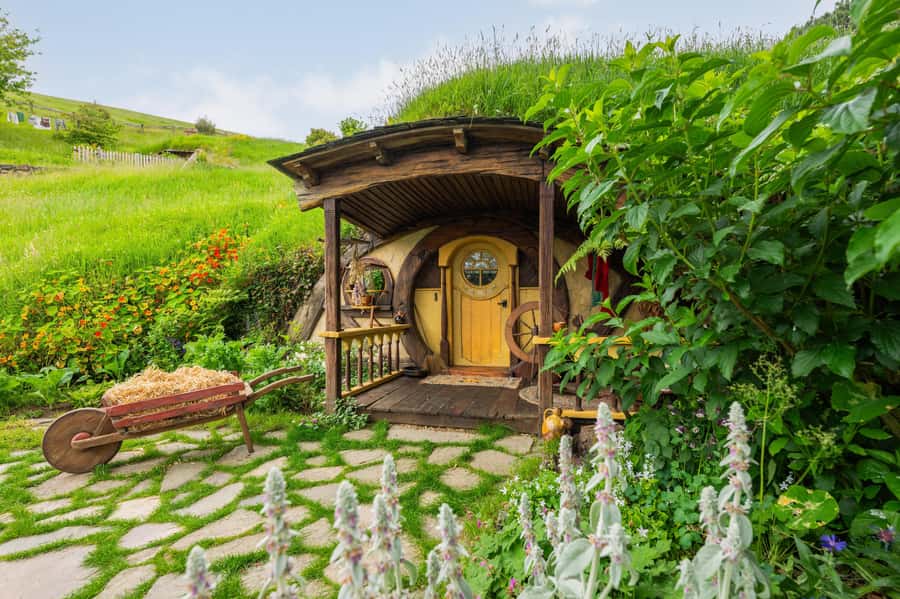 From Auckland: Hobbiton Movie Set Full-Day Trip - Why Hobbiton feels like more than a movie backdrop