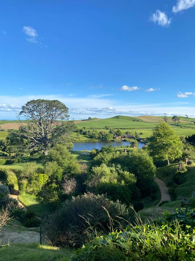 From Auckland: Hobbiton Movie Set - Private Tour - Timing, food, and the return to Auckland