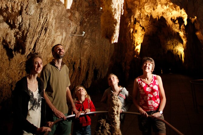 From Auckland:Hobbiton Movie Set & Waitomo Caves Small Group Tour - Why this Auckland day trip works