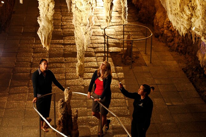 From Auckland:Hobbiton Movie Set & Waitomo Caves Small Group Tour - Walking among 44 hobbit holes