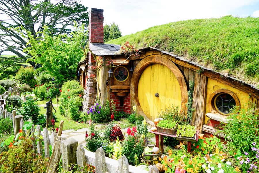From Auckland: Hobbiton & Rotorua Tour with Lunch at Te Puia - Key points at a glance