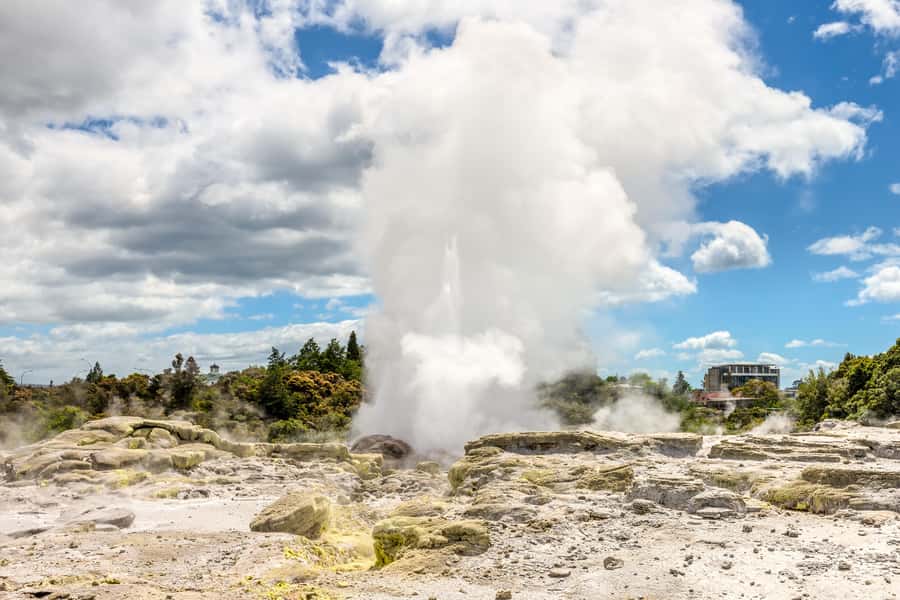 From Auckland: Hobbiton & Rotorua Tour with Lunch at Te Puia - Who should book this experience?