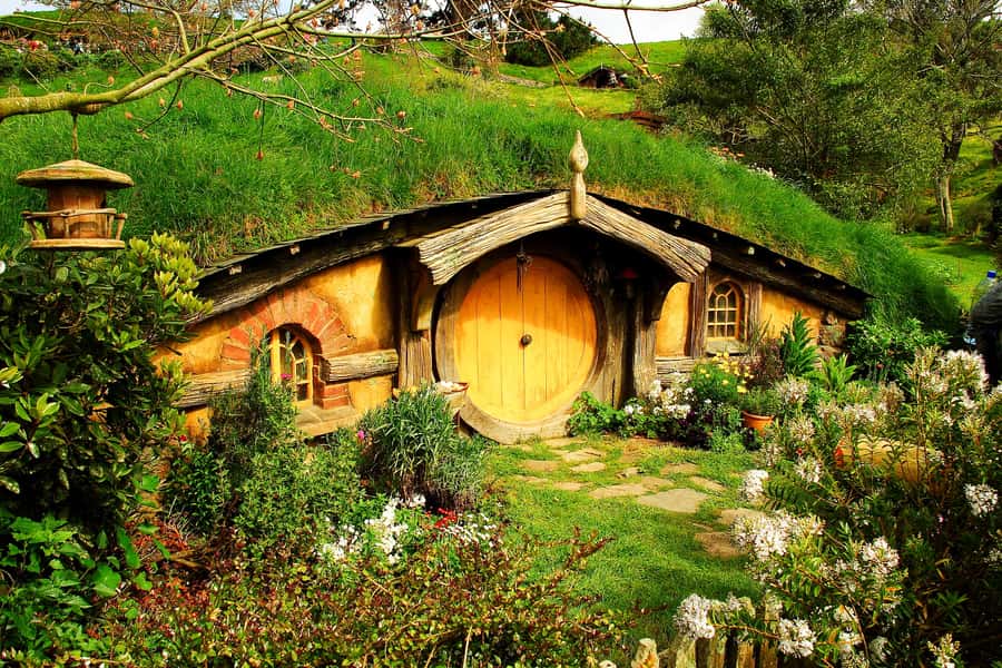 From Auckland: Hobbiton & Rotorua Tour with Lunch at Te Puia - Te Puia: Māori culture beside boiling earth