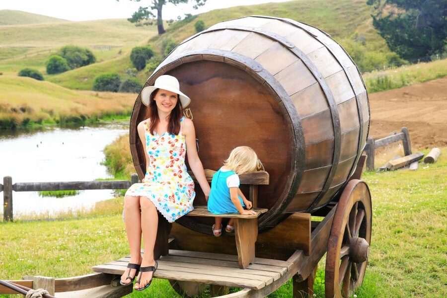 From Auckland: Hobbiton & Rotorua Tour with Lunch at Te Puia - The return to Auckland, or a useful one-way finish