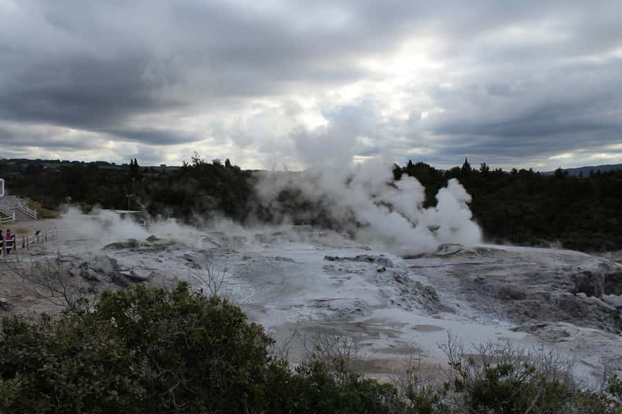 From Auckland: Hobbiton & Rotorua Tour with Lunch at Te Puia - How the tour handles guides and group service