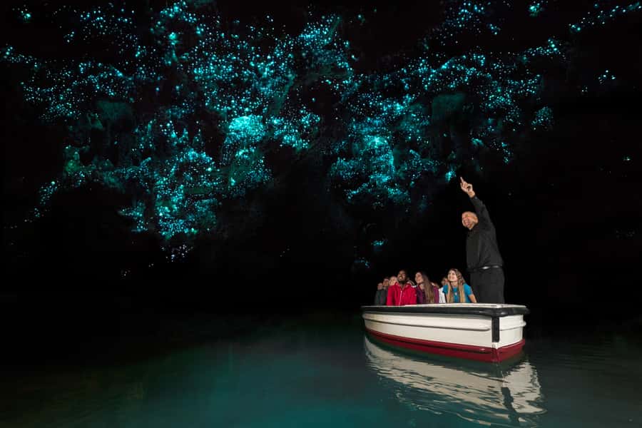 From Auckland: Hobbiton & Waitomo Caves Day Trip with Lunch - Lunch in Waitomo and the practical pause between attractions