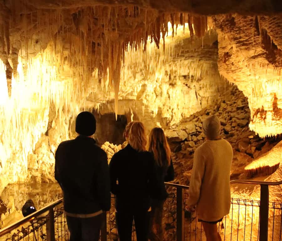 From Auckland: Hobbiton & Waitomo Caves Full-Day Trip - What makes Waitomo Glowworm Caves different