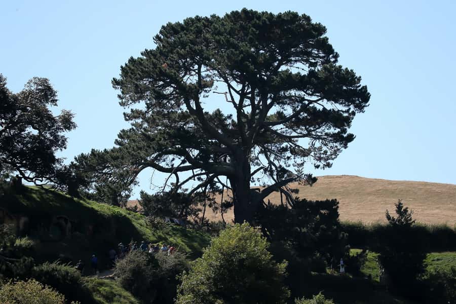 From Auckland or Rotorua: Hobbiton & Waitomo Tour with Lunch - What the $286 price really covers