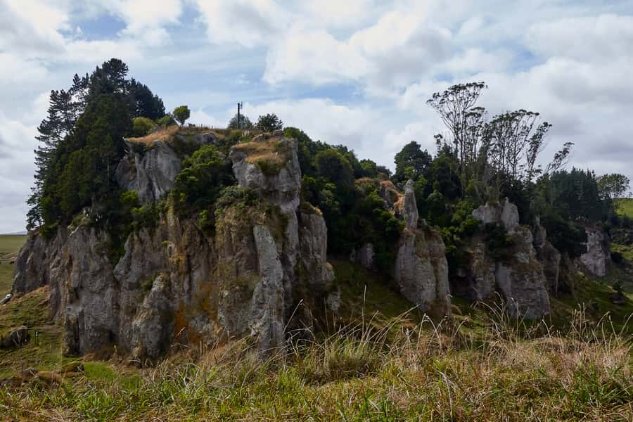 From Auckland or Rotorua: Hobbiton & Waitomo Tour with Lunch - Who should book this tour