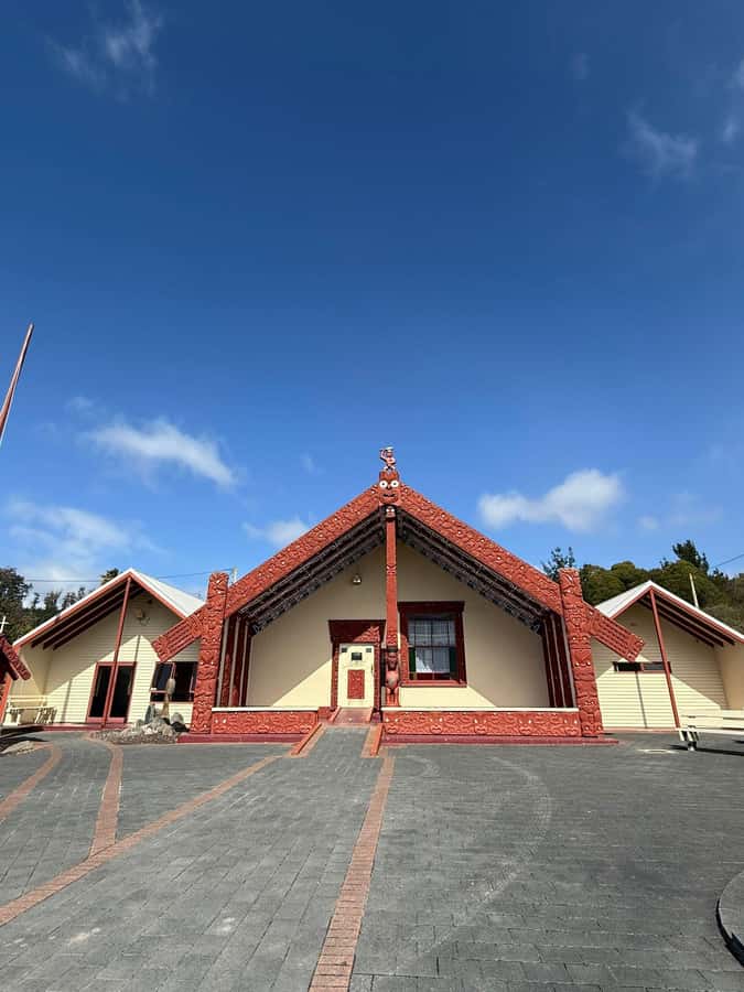 From Auckland: Rotorua Māori Village, Haka & Glowworm Caves - From geothermal Rotorua to Waitomo